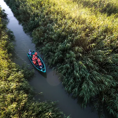 Bobocel Сфынту-Георге