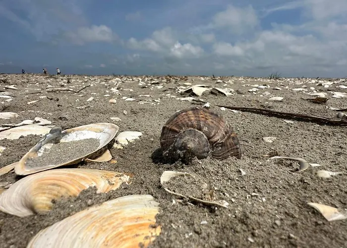 Гостевой дом Bobocel