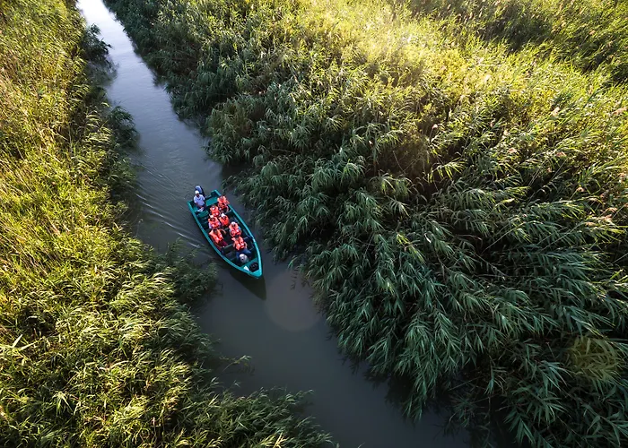 Bobocel Сфынту-Георге